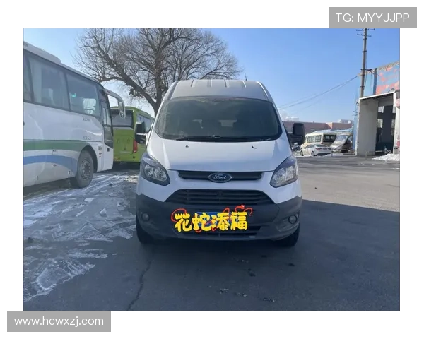 19年福特新全顺，中轴中顶，蓝牌9座，国5排，两台#二手面包车